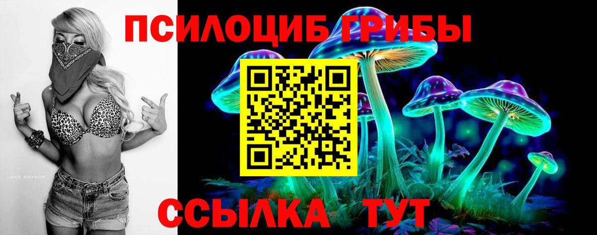 Псилоцибиновые грибы MAGIC MUSHROOMS Каменка